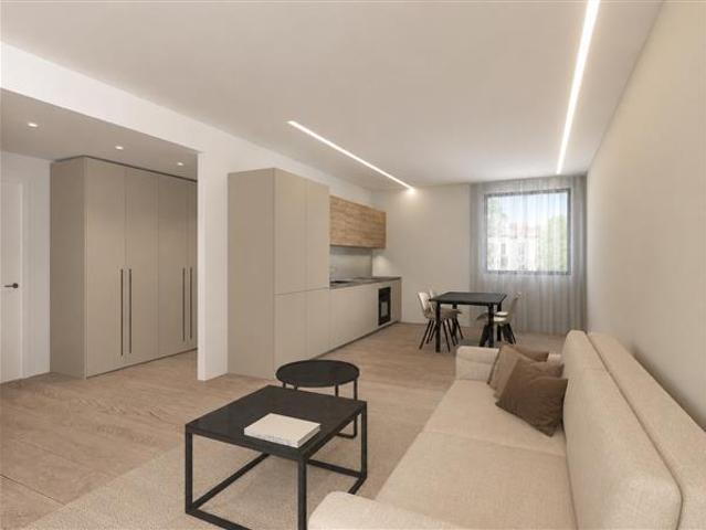 Rent a 1 ½ rooms furnished flat in Lugano Flatfox