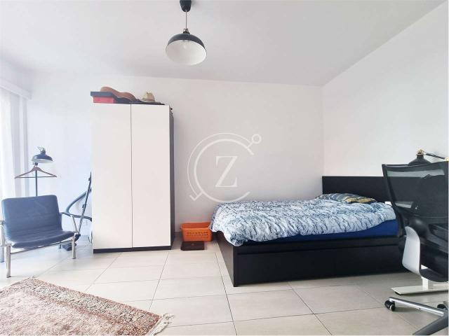 Rent a 1 ½ rooms furnished flat in Lugano Flatfox