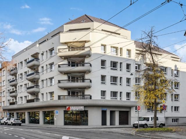 Rent a 1 ½ rooms roof flat in Basel Flatfox