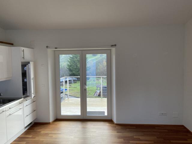 Rent a 1 ½ rooms single house in Wisen Flatfox