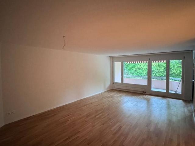 Rent a 2 ½ rooms apartment in Baden Flatfox