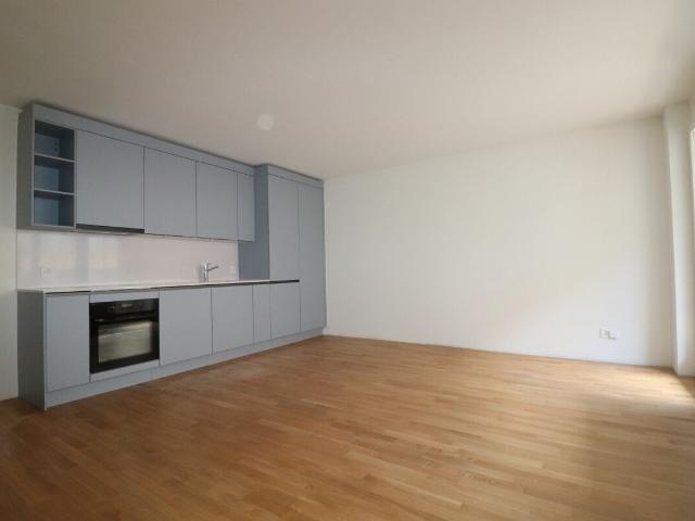 Rent a 2 ½ rooms apartment in Basel Flatfox