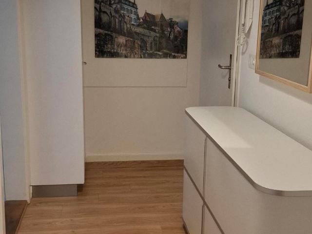 Rent a 2 rooms apartment in Basel Flatfox