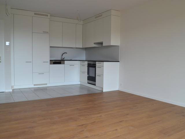 Rent a 2 rooms apartment in Basel Flatfox