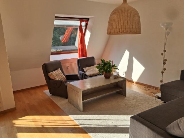Rent a 2 ½ rooms apartment in Basel Flatfox