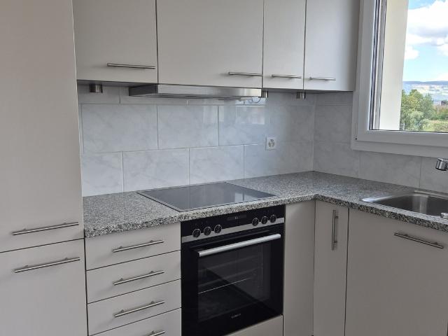 Rent a 2 ½ rooms apartment in Biberist Flatfox