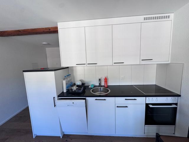 Rent a 2 ½ rooms apartment in Biel Flatfox