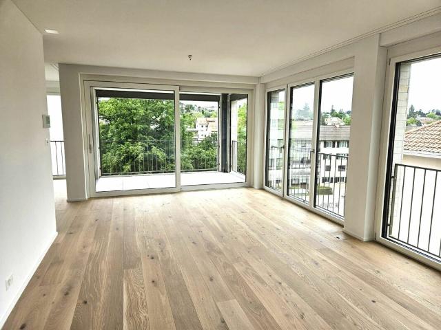 Rent a 2 ½ rooms apartment in Binningen Flatfox
