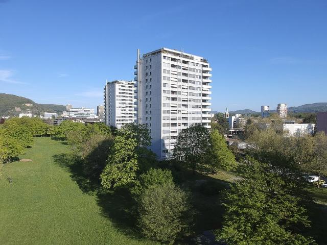 Rent a 2 rooms apartment in Birsfelden Flatfox