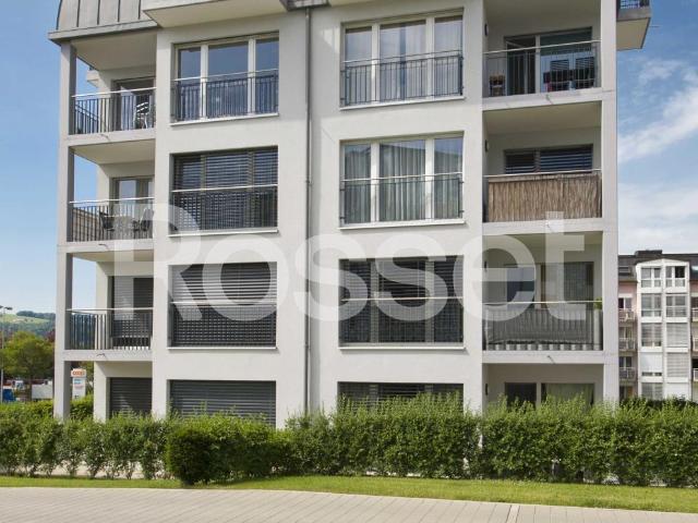Rent a 2 rooms apartment in BULLE Flatfox