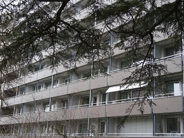 Rent a 2 rooms apartment in Genève Flatfox