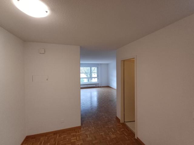 Rent a 2 ½ rooms apartment in Grenchen Flatfox