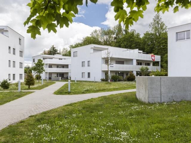 Rent a 2 ½ rooms apartment in Gretzenbach Flatfox