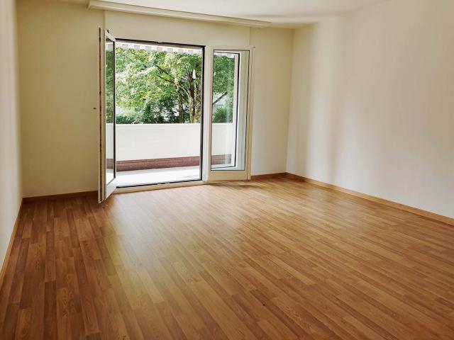 Rent a 2 ½ rooms apartment in Dietikon Flatfox
