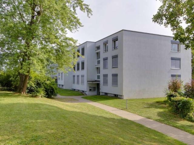 Rent a 2 ½ rooms apartment in Effretikon Flatfox