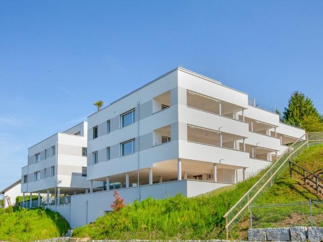 Rent a 2 ½ rooms apartment in Erlen Flatfox