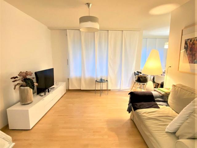 Rent a 2 ½ rooms apartment in Hochfelden Flatfox