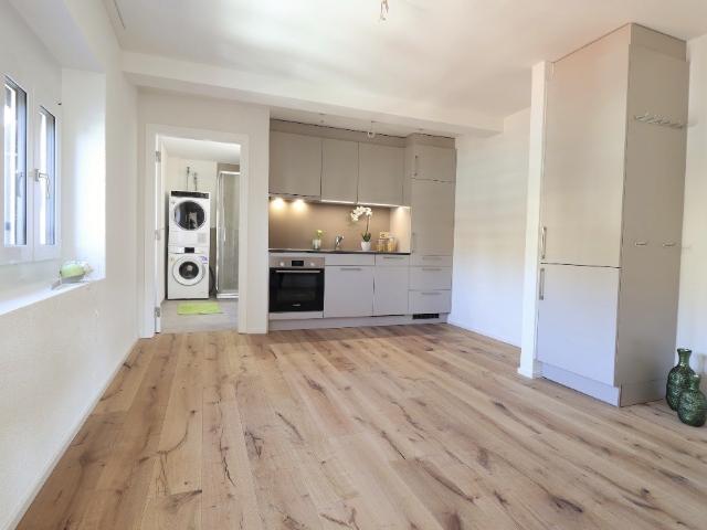 Rent a 2 rooms apartment in Herisau Flatfox