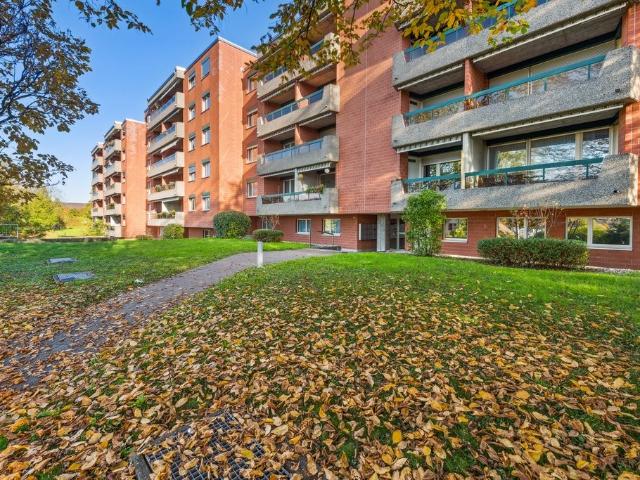 Rent a 2 ½ rooms apartment in Oberwil BL Flatfox