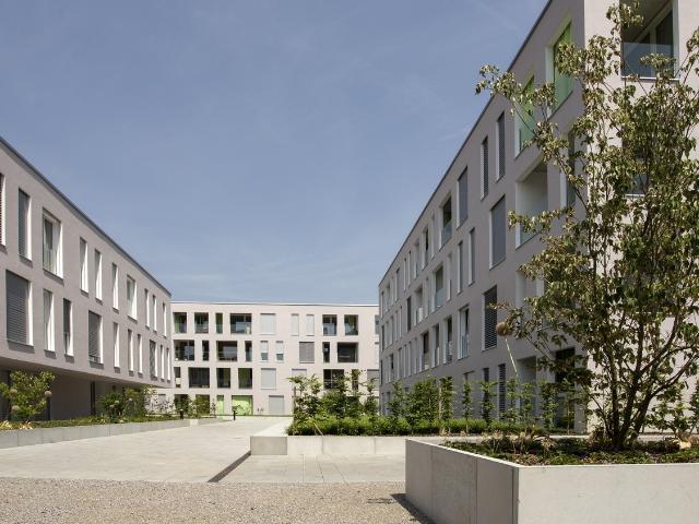 Rent a 2 rooms apartment in Oensingen Flatfox