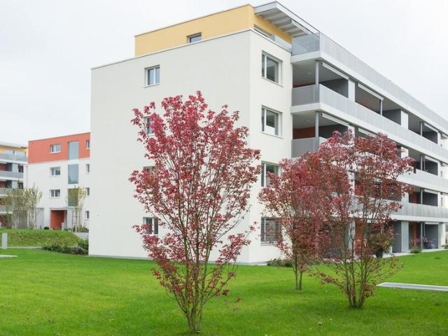 Rent a 2 ½ rooms apartment in Oftringen Flatfox