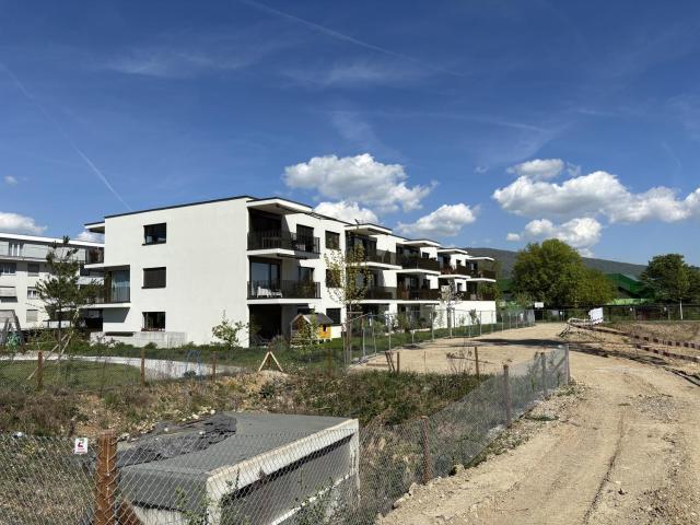 Rent a 2 ½ rooms apartment in Olten Flatfox