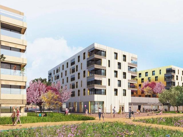 Rent a 2 ½ rooms apartment in Orbe Flatfox