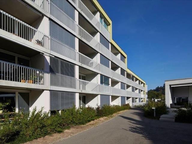 Rent a 2 ½ rooms apartment in Lenzburg Flatfox
