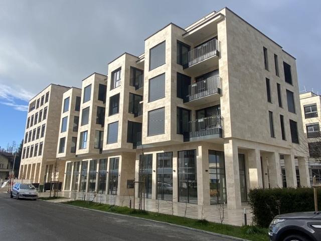 Rent a 2 ½ rooms apartment in Luzern Flatfox
