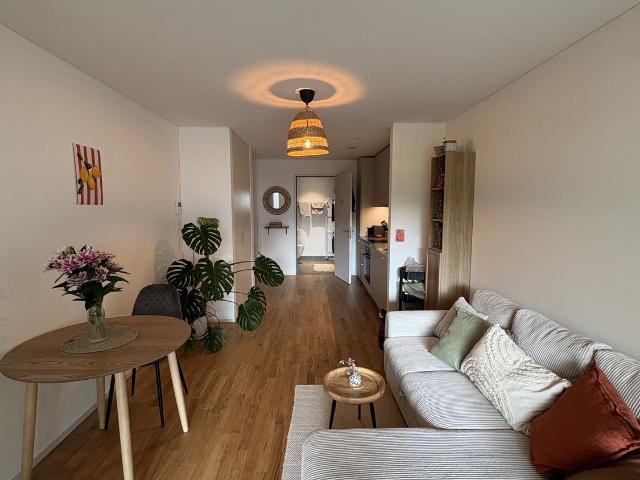 Rent a 2 ½ rooms apartment in Luzern Flatfox