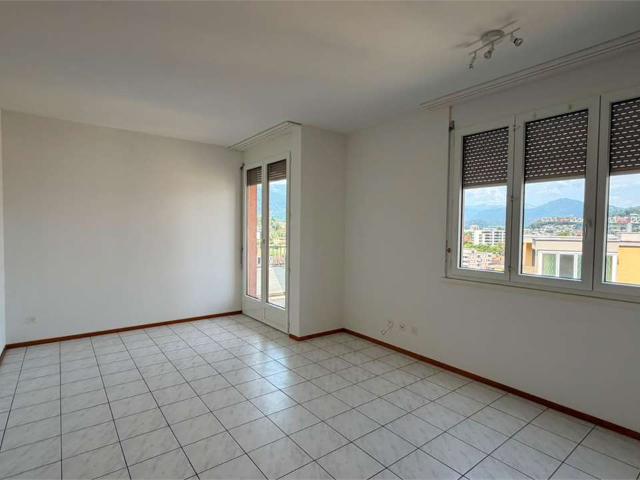 Rent a 2 ½ rooms apartment in Lugano Flatfox