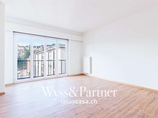 Rent a 2 ½ rooms apartment in Lugano Flatfox