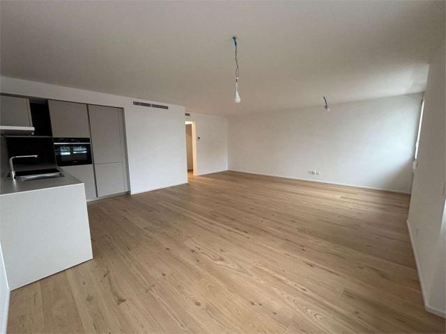 Rent a 2 ½ rooms apartment in Lugano Flatfox