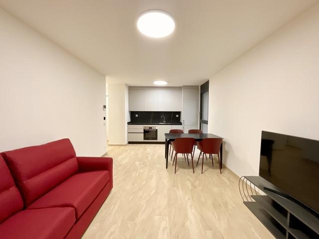 Rent a 2 ½ rooms apartment in Lugano Flatfox