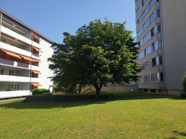 Rent a 2 rooms apartment in Lyss Flatfox