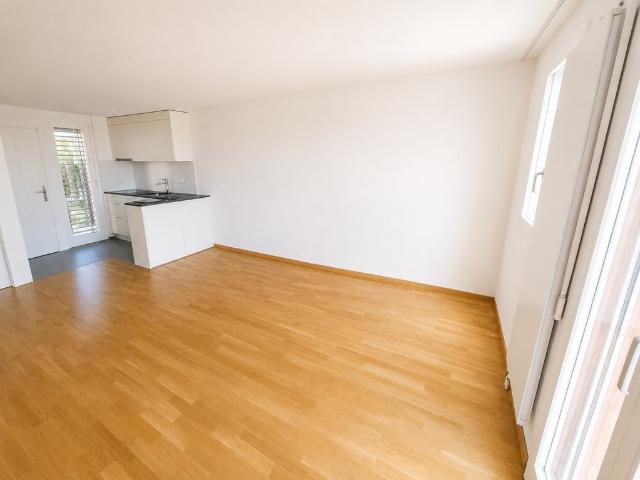 Rent a 2 ½ rooms apartment in Mittelhäusern Flatfox