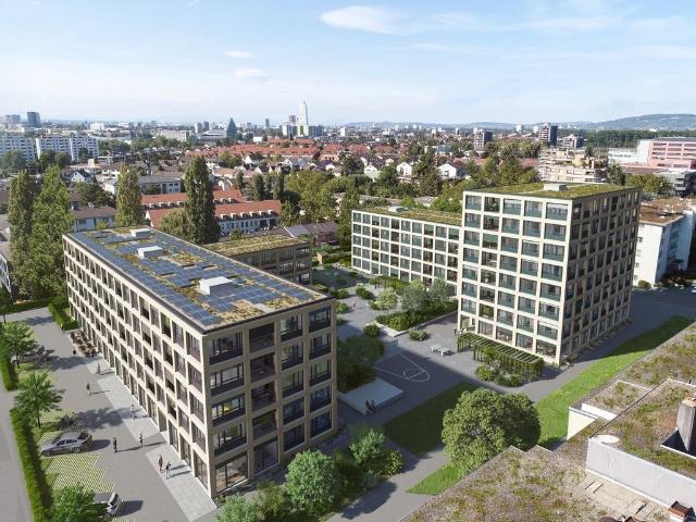Rent a 2 ½ rooms apartment in Muttenz Flatfox