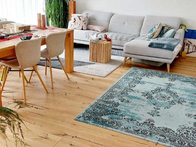 Rent a 2 ½ rooms apartment in Neukirch Egnach Flatfox