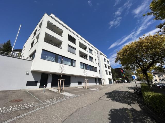 Rent a 2 ½ rooms apartment in Niederdorf Flatfox