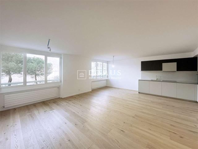 Rent a 2 ½ rooms apartment in Paradiso Flatfox