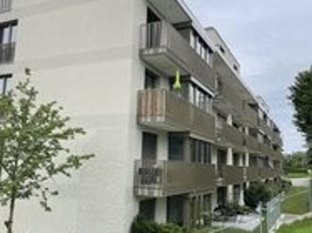 Rent a 2 ½ rooms apartment in Pfäffikon ZH Flatfox
