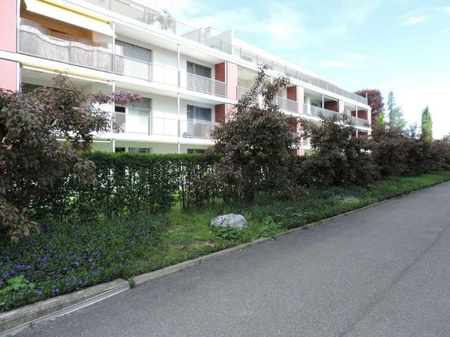 Rent a 2 ½ rooms apartment in Rothrist Flatfox