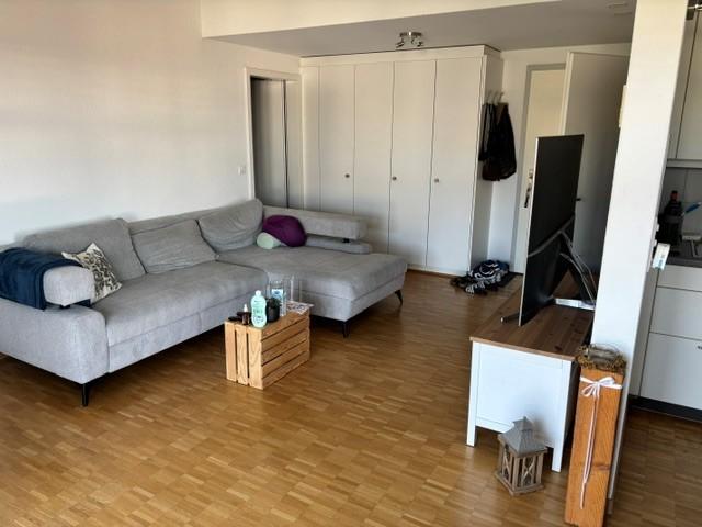 Rent a 2 ½ rooms apartment in Römerswil Flatfox