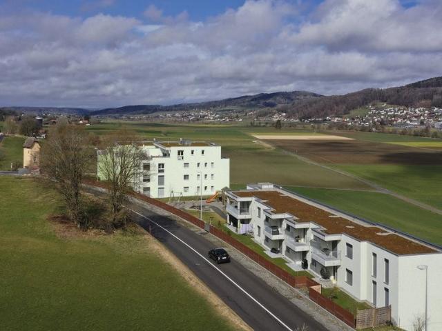 Rent a 2 ½ rooms apartment in Reinach Flatfox