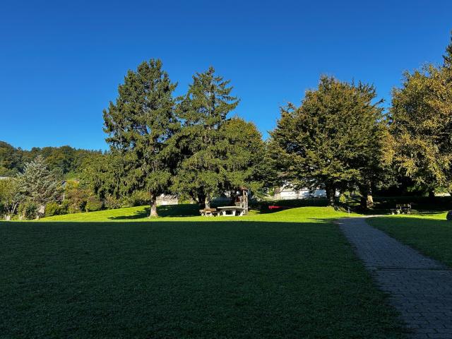 Rent a 2 ½ rooms apartment in Rudolfstetten Friedlisberg Flatfox