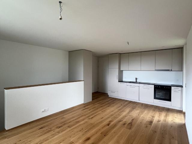 Rent a 2 ½ rooms apartment in Tafers Flatfox