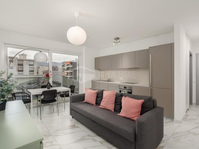 Rent a 2 ½ rooms apartment in Viganello Flatfox