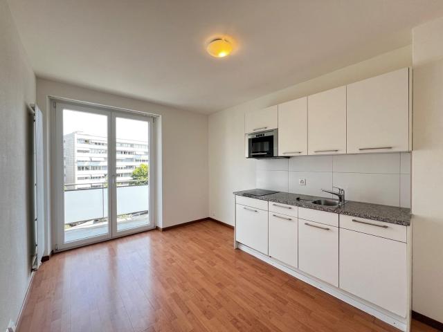 Rent a 2 ½ rooms apartment in Zürich Flatfox