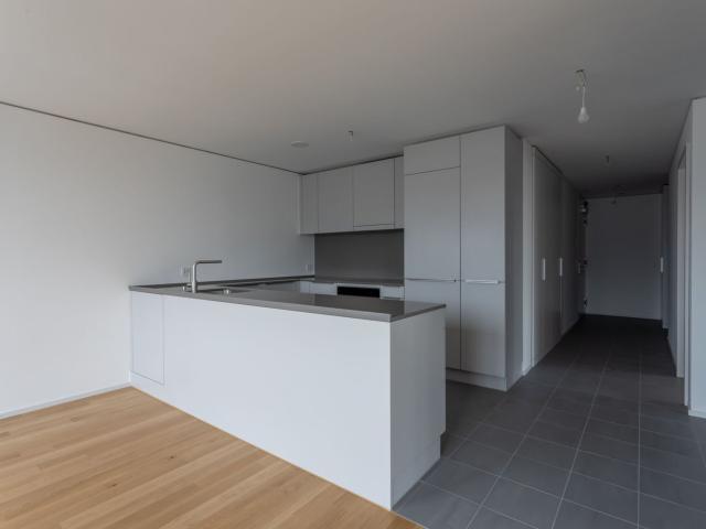 Rent a 2 ½ rooms apartment in Zürich Flatfox