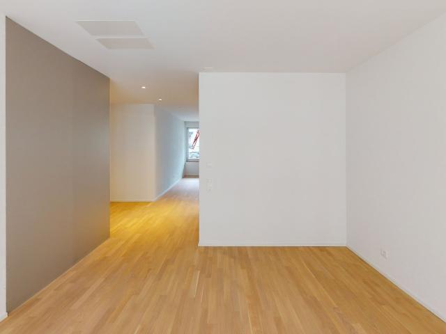 Rent a 2 ½ rooms apartment in Zürich Flatfox